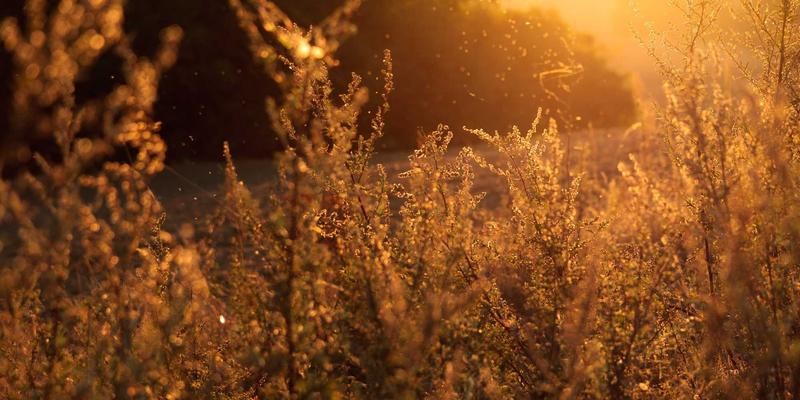 告别VPN时代:零信任网络访问(ZTNA)如何重塑企业安全边界与云计算访问