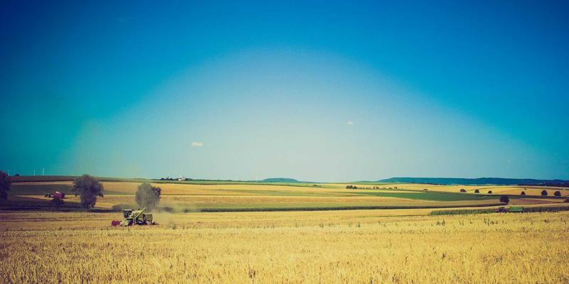 网络遥测技术深度解析:NETCONF/YANG、gNMI与流式遥测的实战对比与云时代应用