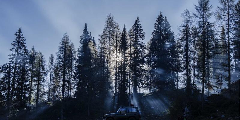 软件定义网络(SDN)如何重塑数据中心?三大核心优势与实战部署指南